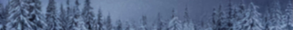 christmas-gala-ballet-sale